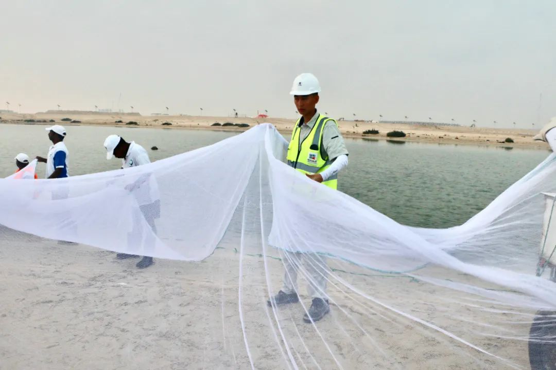 �Ƿ�����(�й���)-�ٷ���վ