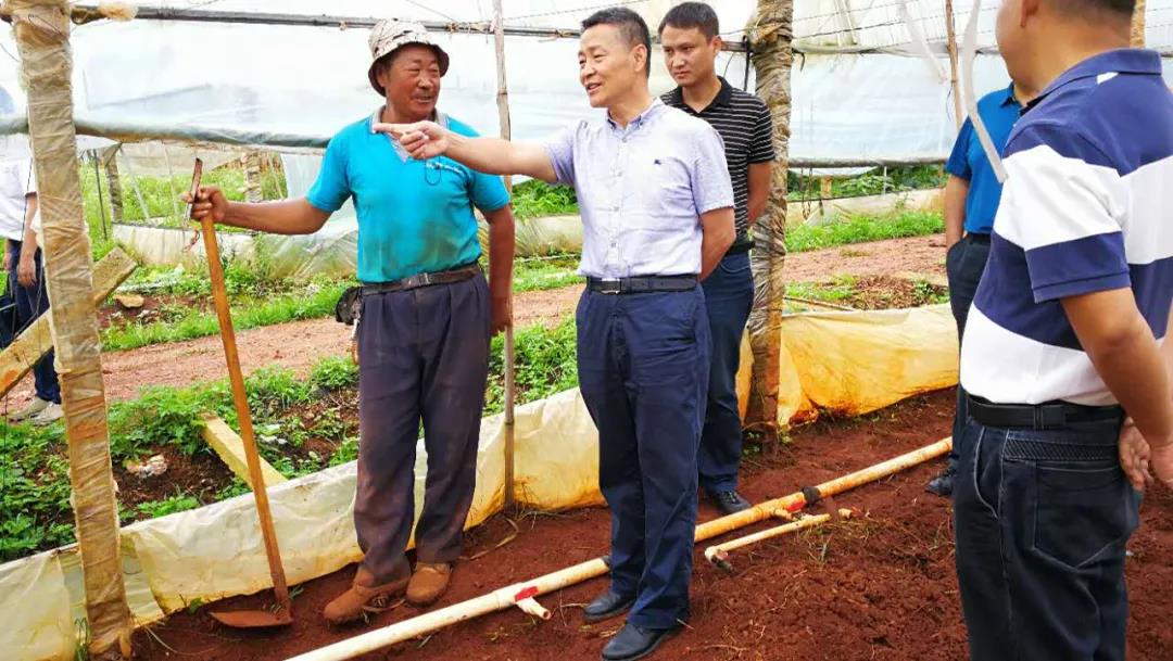 �Ƿ�����(�й���)-�ٷ���վ