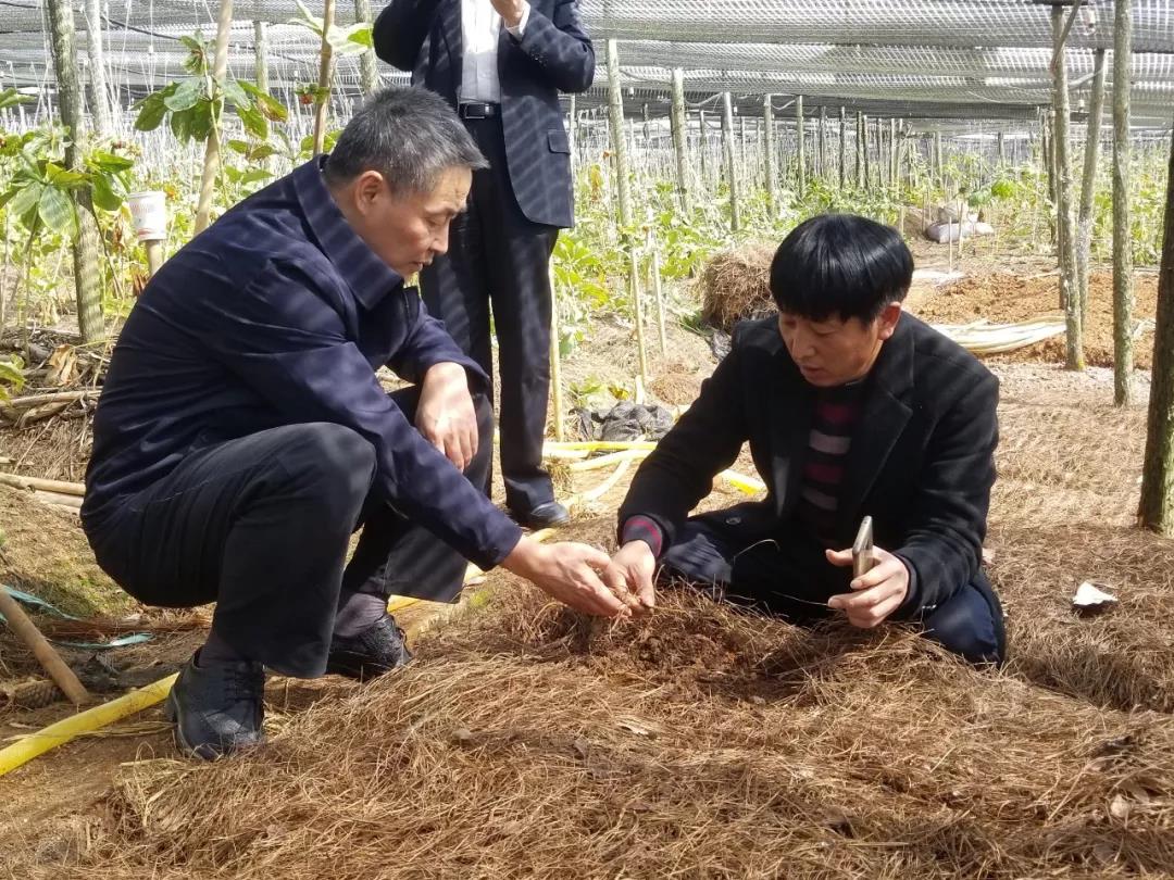 �Ƿ�����(�й���)-�ٷ���վ