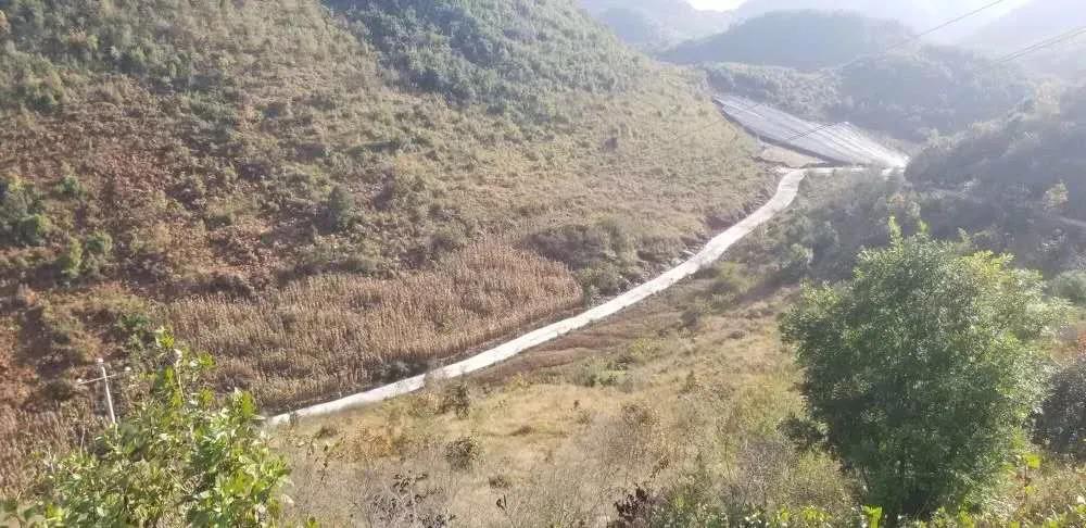 �Ƿ�����(�й���)-�ٷ���վ