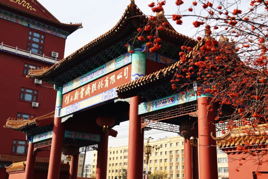 �Ƿ�����(�й���)-�ٷ���վ