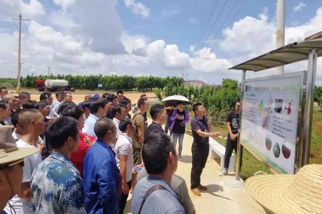 �Ƿ�����(�й���)-�ٷ���վ