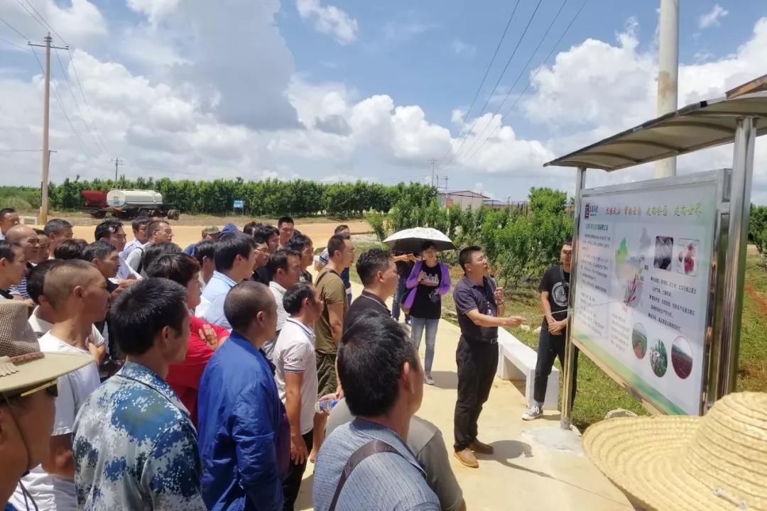 �Ƿ�����(�й���)-�ٷ���վ