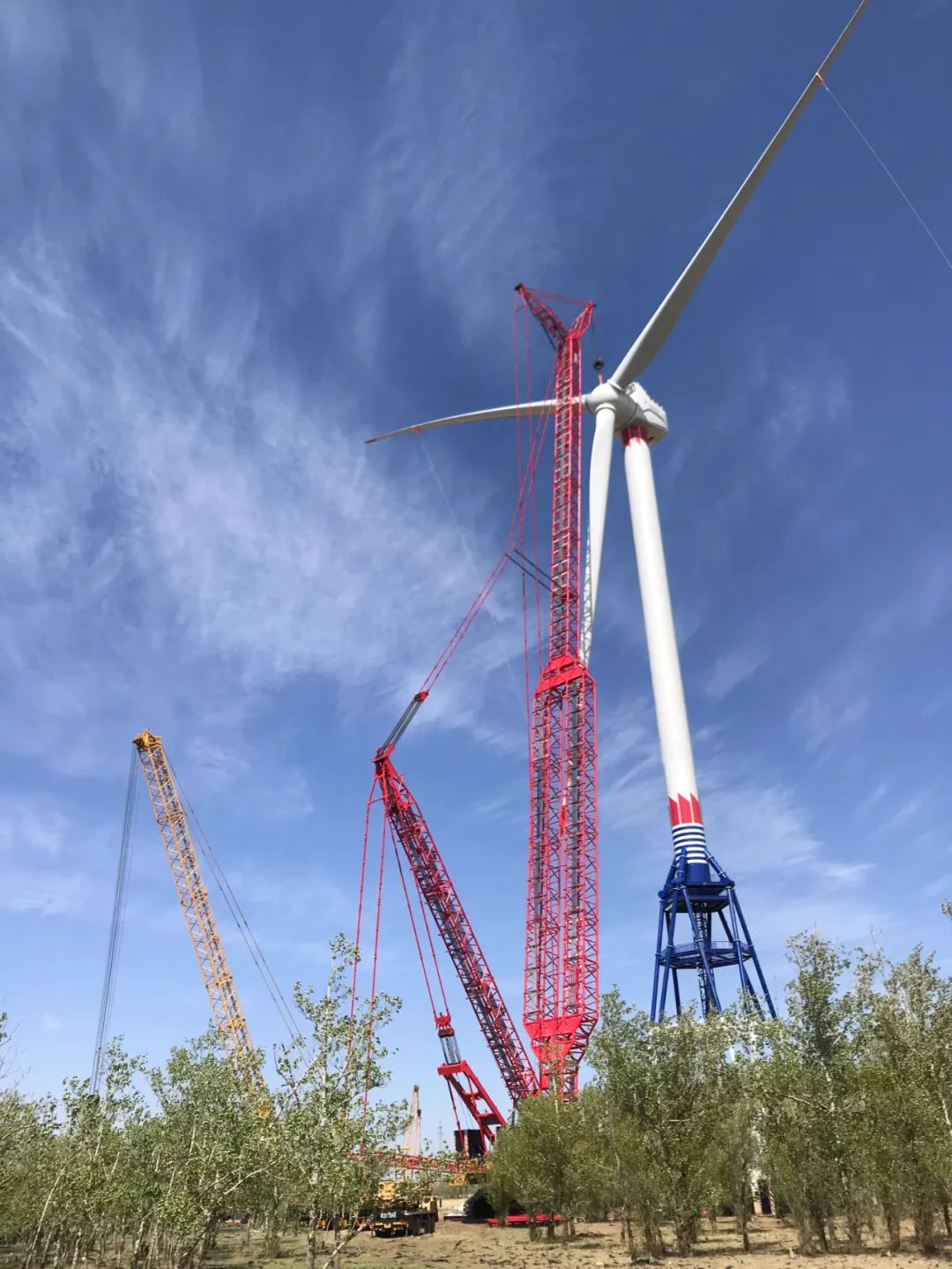 �Ƿ�����(�й���)-�ٷ���վ