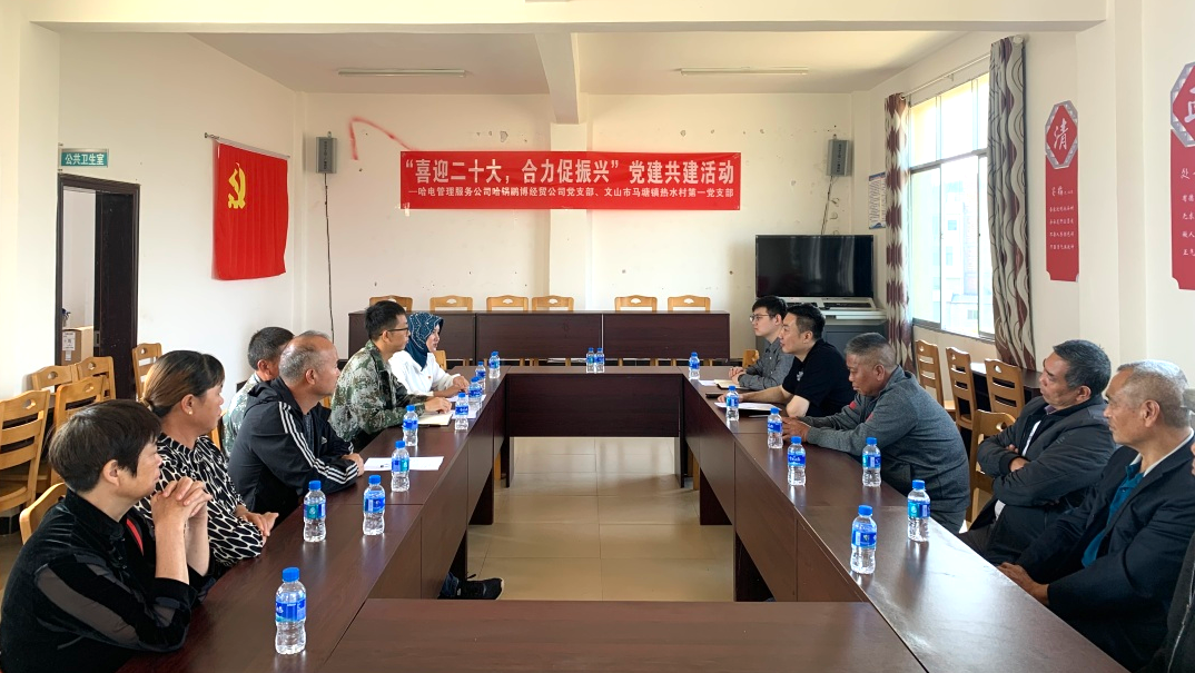 �Ƿ�����(�й���)-�ٷ���վ