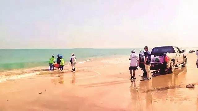 �Ƿ�����(�й���)-�ٷ���վ