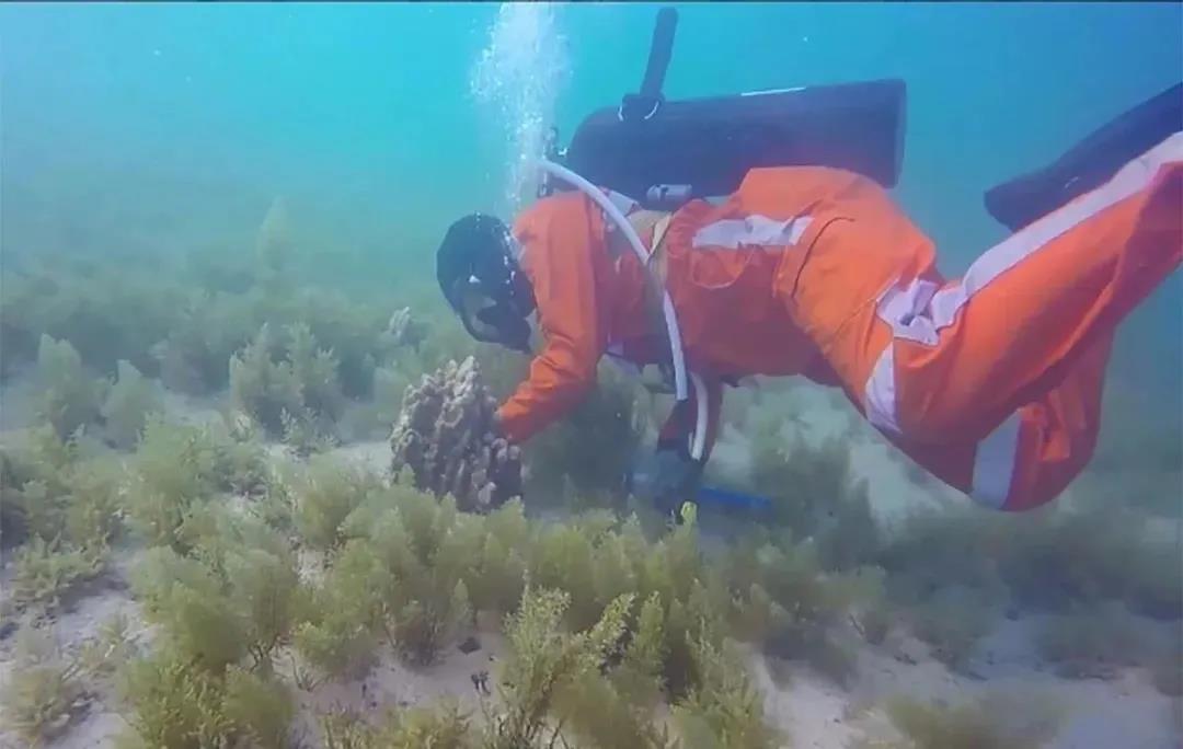 �Ƿ�����(�й���)-�ٷ���վ